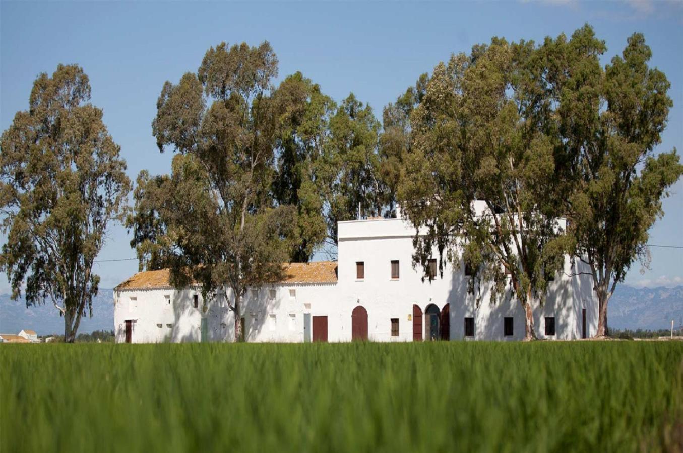 Mas Illa De Riu - Autentica Masia Del Delta Del Ebro Con Capacidad Para 20 Personas - Deltavacaciones Sant Jaume d'Enveja Eksteriør bilde