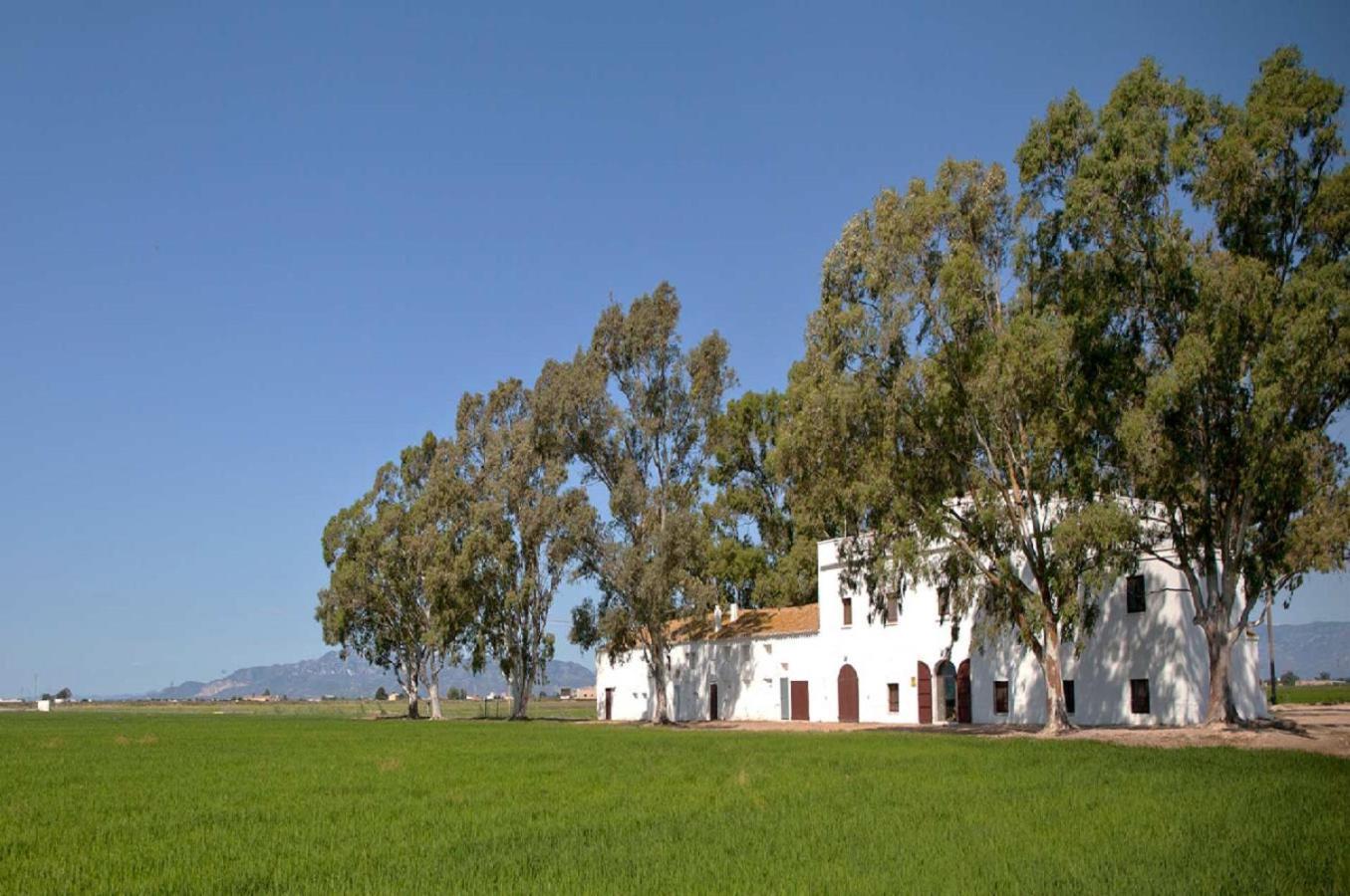 Mas Illa De Riu - Autentica Masia Del Delta Del Ebro Con Capacidad Para 20 Personas - Deltavacaciones Sant Jaume d'Enveja Eksteriør bilde