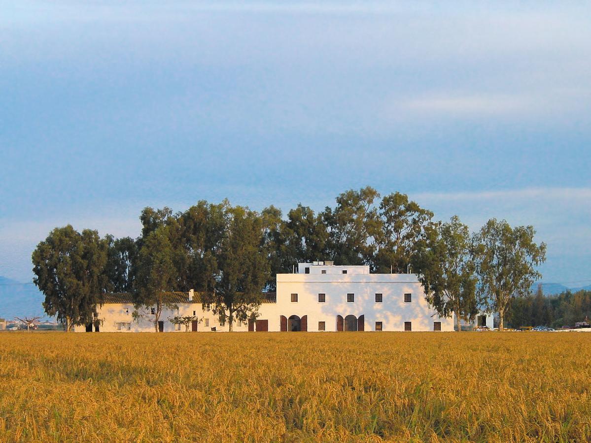 Mas Illa De Riu - Autentica Masia Del Delta Del Ebro Con Capacidad Para 20 Personas - Deltavacaciones Sant Jaume d'Enveja Eksteriør bilde